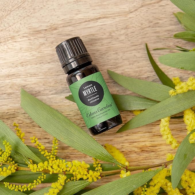 Edens Garden Myrtle- Lemon Essential Oil- 100% Pure Premium Grade, Undiluted, Natural, Therapeutic, Aromatherapy, The Best for Diffuser, Candle, Laundry, Humidifiers 10 ml (.33 fl oz)