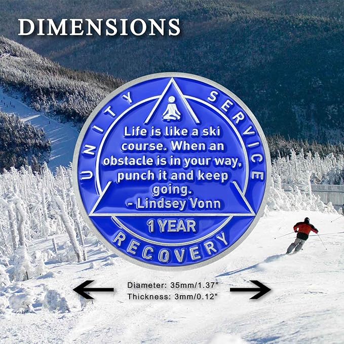 1 Year Sobriety Coin Sobriety Chips AA Chip AA Coins Sober Token Recovery Medallion NA Chips NA Coins from 1 to 12 Months Plastic case Included-Baking Paint Process