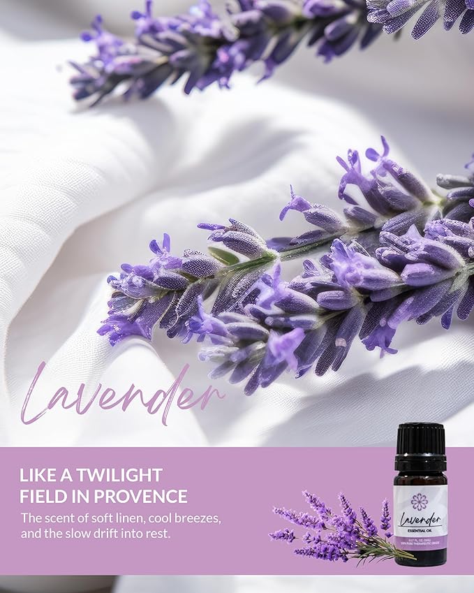 Essence Lavender Essential Oil – Pure & Therapeutic Grade – Perfect for Aromatherapy, Diffusers & Recharging Essence Nasal Diffuser Rings – Natural Stress & Mood Support (5mL)