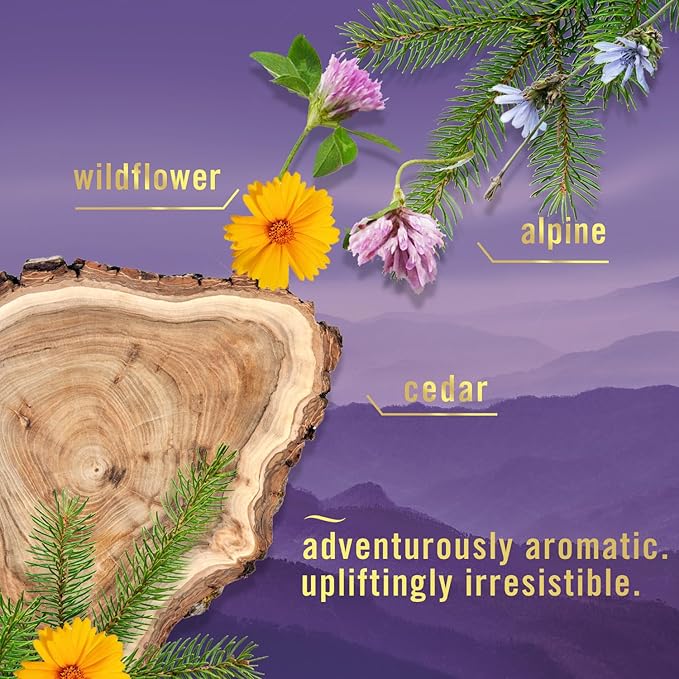 Febreze Air Mist Air Freshener Spray, Odor-Fighting Room Spray, Air Fresheners for Home and Bathroom and Kitchen, Aerosol Can, Mountain Scent, 8.8oz, 3 Count