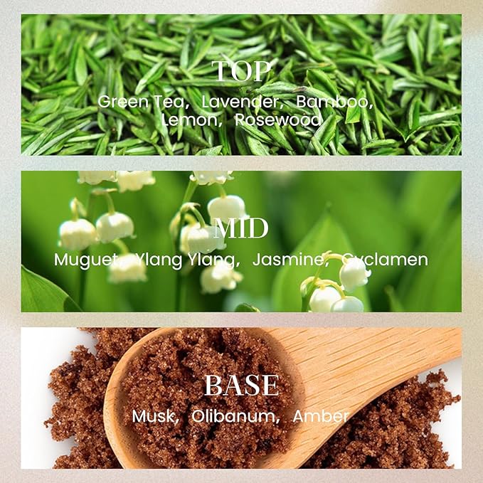 M&SENSE 6.3 oz Large Reed Diffuser Set | Bamboo Scent Oil Diffuser with Sticks | Hotel Collection Non-Toxic Essential Oil |for Bedroom Bathroom Living Room