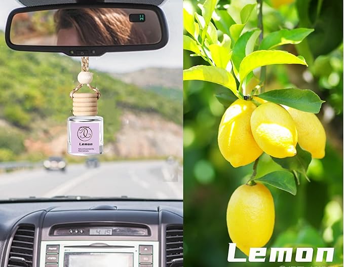 2Pack Lemon Scented Automotive Air Freshener Set, Car Accessories Decoration Hanging Scented Car Diffuser for Men Women Best Gifts