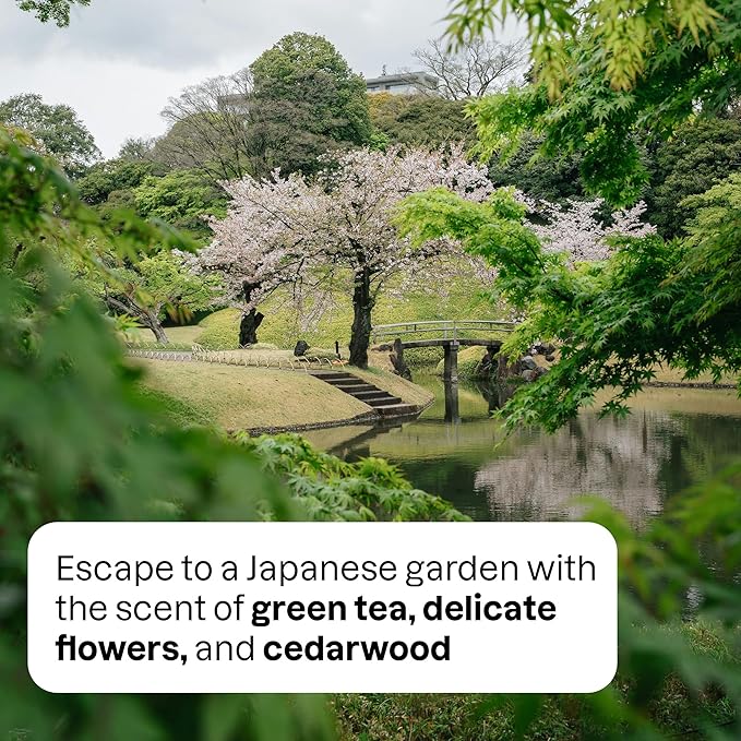 ATTITUDE Scented Room and Air Freshner Spray, for Home and Bathroom, Natural Origin Ingredients, Vegan,Floral and Woody Scent, Japanese Garden, 8 Fl Oz