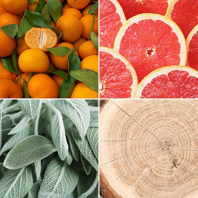 Aroma from Nature Wellness Collection Candle, 12 oz, 2 Cotton Wicks, White Tea Citron, Large Painted Jar