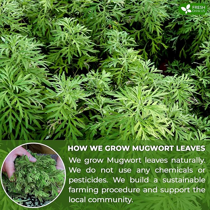 FRESHDRINKUS Premium Mugwort Tea Bags - 120 Count, 100% Natural Pure Leaves, Loose Leaf Herbal Tea, No Sugar, No Caffeine, No Gluten, Vegan