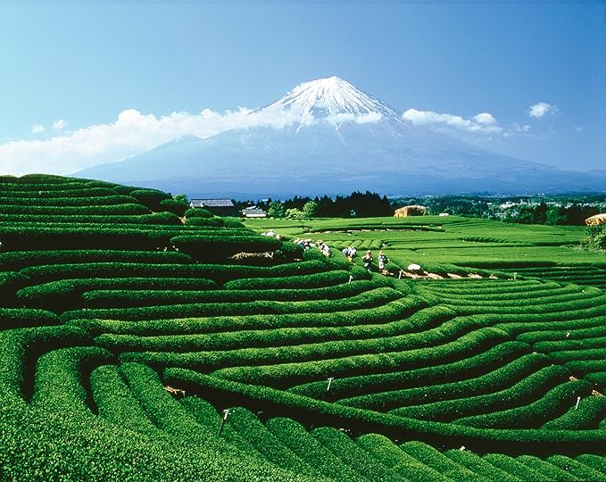 Palais des Thés - Alizes Winds Green Tea - Peach & Orange Blossom - Premium Tea Bags, Serves 20 Cups