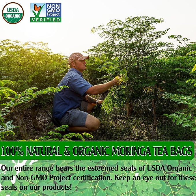 KEYXE - Organic Moringa Tea Bags, 100% CERTIFIED Organic and Pure from Moringa Leaves (30 teabags)