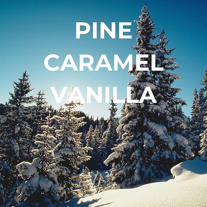 Bright Spot Winter In Aspen Car Air Freshener - Premium Car Hanging Oil Diffuser, Long-Lasting Fragrance up to 120 days for Auto & Home | Crisp & Rich | Pine, Caramel, Vanilla | Non-Toxic