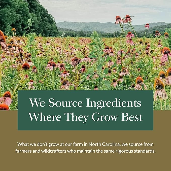 Gaia Herbs Quick Defense - Fast-Acting Immune Support Supplement* - Echinacea, Black Elderberry, Ginger & Andrographis - 20 Vegan Liquid Phyto-Capsules (2-Day Supply)