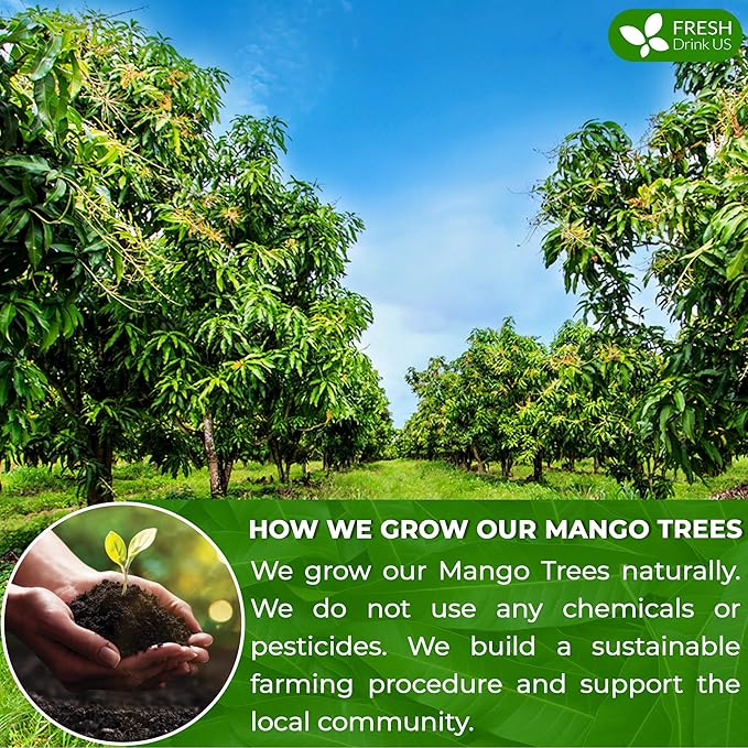 FreshDrinkUS, Premium 140+ Mango Whole Leaves Dried, 100% Natural & Pure from Dried Mango Leaves, Mango Leaf Tea, No Additives, No Caffeine, Vegan