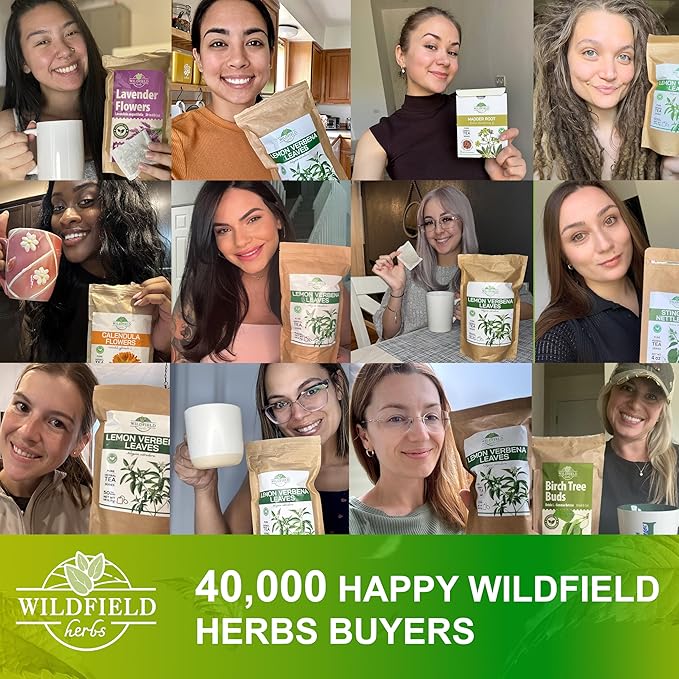 50 Bags White Mulberry Tea Mulberry Leaf Herbal Tea (Morus Alba) - 50 Count 1.5g Bags Herb Hoja De Morera