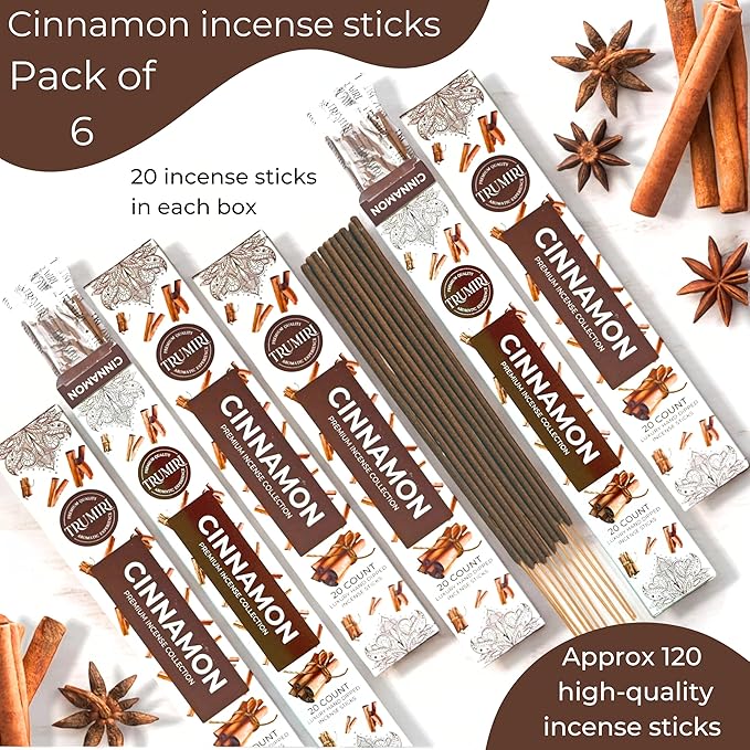 Cinnamon Incense Sticks - Incienso de Canela - Total 120 Insence-Sticks - 6 Packs of 20 Insense - Inciensos - Inscents - Natural Non Toxic Ingredients - Incents - Incence - Inscense