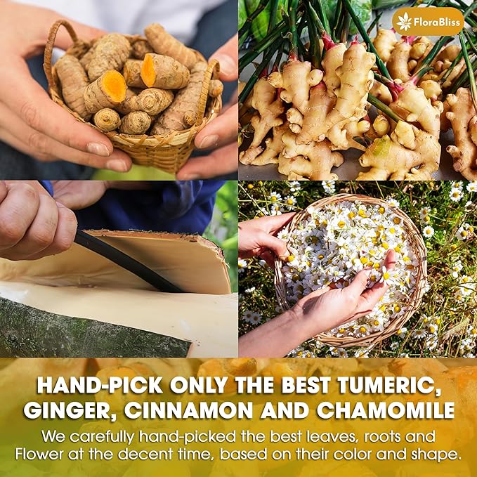 50 Bags Premium Turmeric Ginger Cinnamon Tea with Upgraded Chamomile, Extra Strength 2.2g/Bag, 100% Natural, Caffeine-Free, Vegan, Eco-Friendly, Supports Digestion, Relaxation