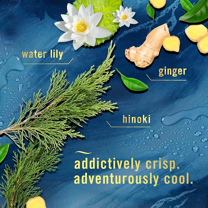 Febreze Air Mist Air Freshener Spray, Odor-Fighting Room Spray, Air Fresheners for Home and Bathroom and Kitchen, Aerosol Can, Ocean Scent, 8.8oz, 1 Count