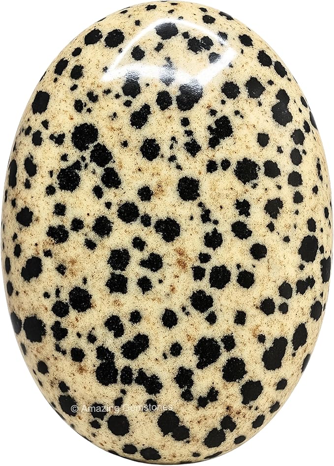 Amazing Gemstone Dalmatian Jasper Crystals and Healing Stones - Large Palm Stone Crystals Piedra - Crystal for Good Luck, Positive Energy, Meditation - Unique Stocking Stuffers Gifts for Women, Men