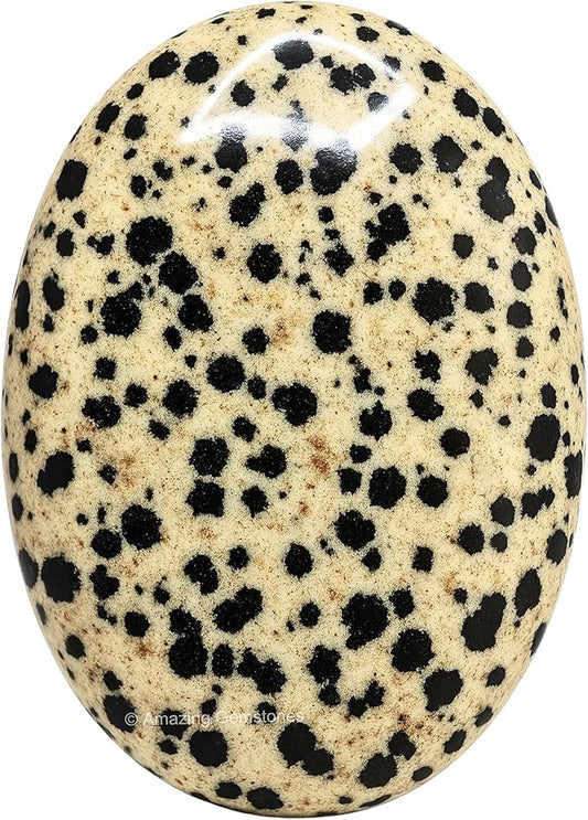 Amazing Gemstone Dalmatian Jasper Crystals and Healing Stones - Large Palm Stone Crystals Piedra - Crystal for Good Luck, Positive Energy, Meditation - Unique Stocking Stuffers Gifts for Women, Men