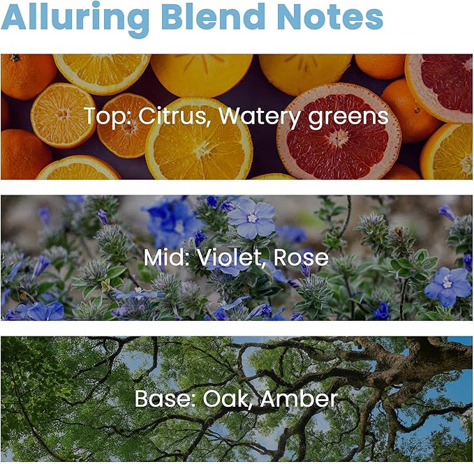 Hotel Diffuser Oil, ESSLUX Luxury Hotel Fragrance Oil Diffuser Scents, Inspired by The Hilton Hotel Scents,Essential Oils for Home for Diffuser, Massage, Soap, Candle Making Scents, Perfume, 30ml