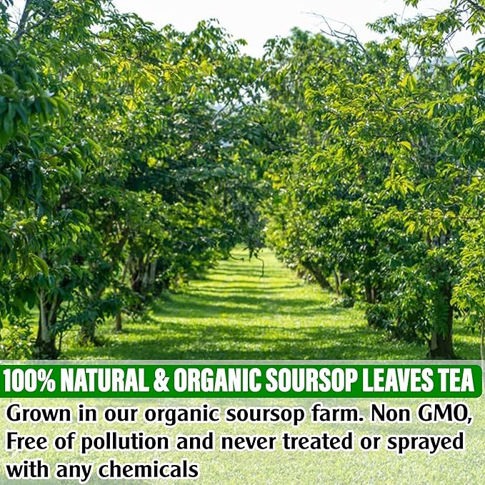 KEYXE Organic Soursop (Graviola) Tea Bags – Caffeine-Free, 30 Tea Bags
