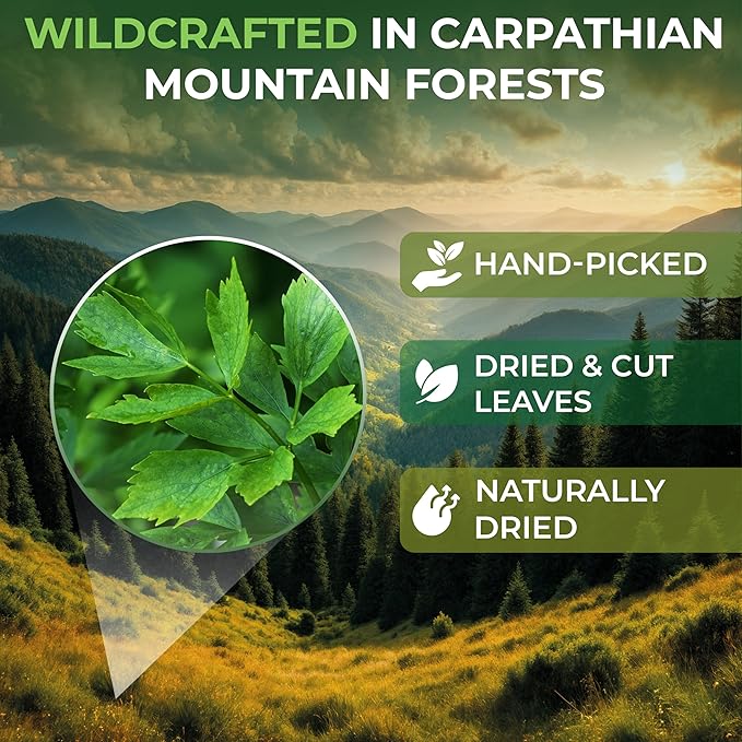 4 oz. Dried Lovage Herb Lovage Leaves Herbal Tea (Levisticum Officinale) - 113g Herb Tea Levísticum