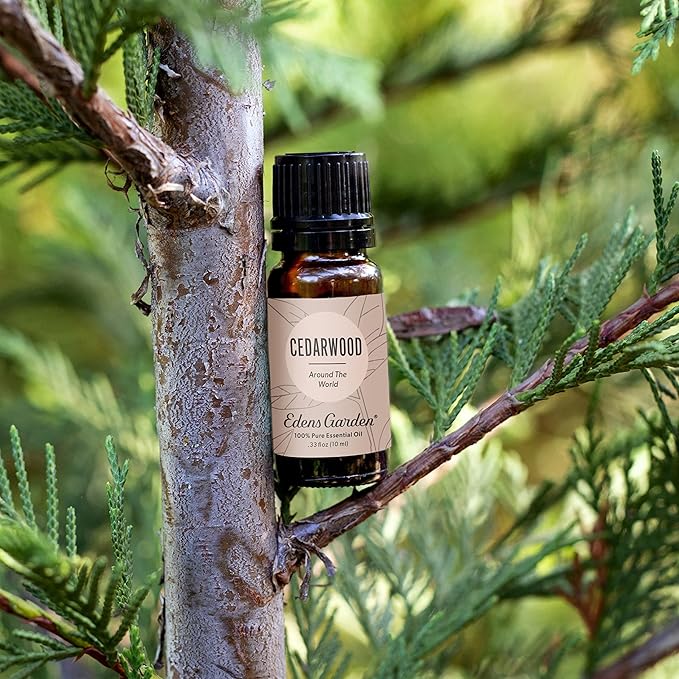 Edens Garden Cedarwood Around The World Essential Oil- 100% Pure Premium Grade, Undiluted, Natural, Therapeutic, Aromatherapy, The Best for Diffuser, Skin, Face, Hair 10 ml (.33 fl oz)