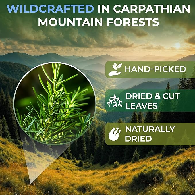 100 Bags Rosemary Tea Herbal Tea (Salvia Rosmarinus) - 100 Count 1.5g Bags Rosemary Herb Te De Romero