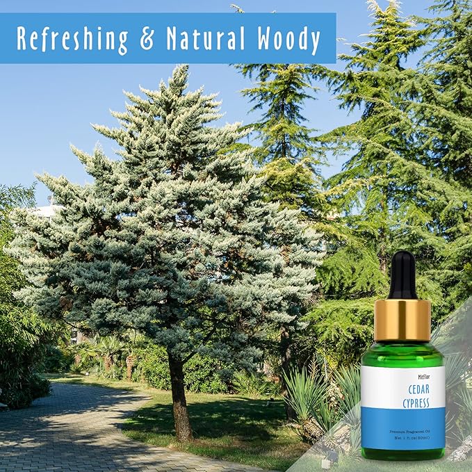 30ml Cedar Cypress Fragrance Oil, MitFlor Premium Grade Fragrance Essentials Oil for Soap & Candle Making, Large Size Aromatherapy Diffuser Oil, Refreshing Woody Scent for Home Fragrance