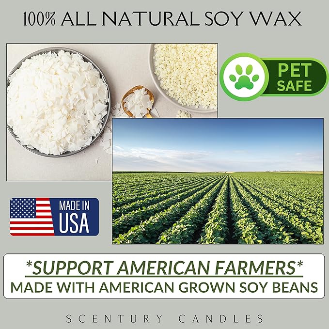 Autumn Glow Fall Scented Candle, Many Scents to Choose from, All Natural Non-Toxic Soy Wax, Handmade in The USA (Autumn Glow)