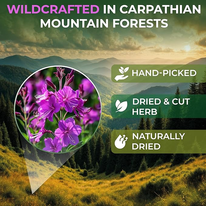 40 Bags Ivan Tea Siberian Fireweed Tea Herb Blooming Sally (Chamerion Angustifolium) - Ivan Chai 40 Count 1.5 g Bags Epilobium Angustifolium Иван Чай