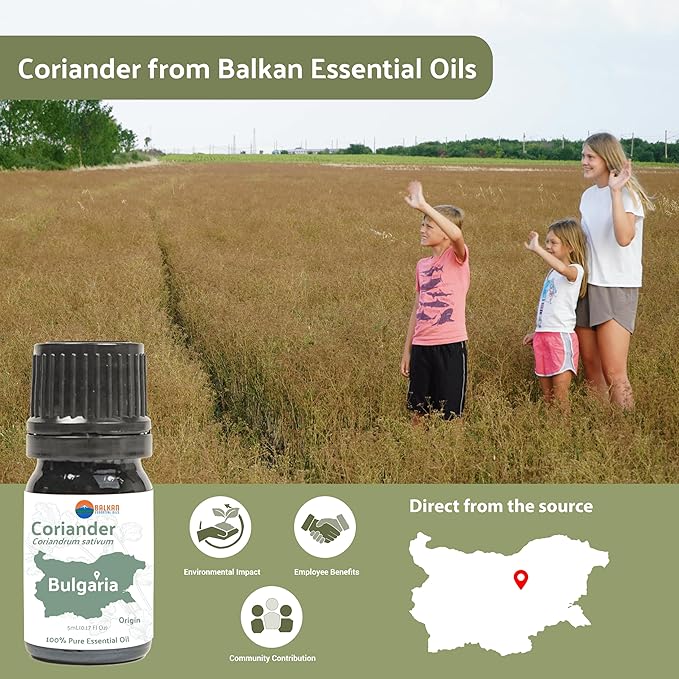 Coriander Essential Oil - Direct from Bulgarian Balkan Mountains - Steam Distilled - Aceite Cilantro for Aromatherapy, Massage, Diffuser, DIY Candle and Soap Making - 8oz