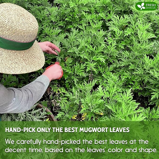 FRESHDRINKUS Premium Mugwort Tea Bags - 120 Count, 100% Natural Pure Leaves, Loose Leaf Herbal Tea, No Sugar, No Caffeine, No Gluten, Vegan