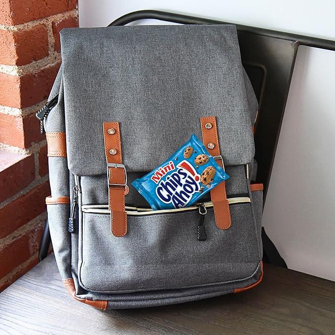 CHIPS AHOY! Mini Original Chocolate Chip Cookies, 10 Snack Packs (Pack of 2)