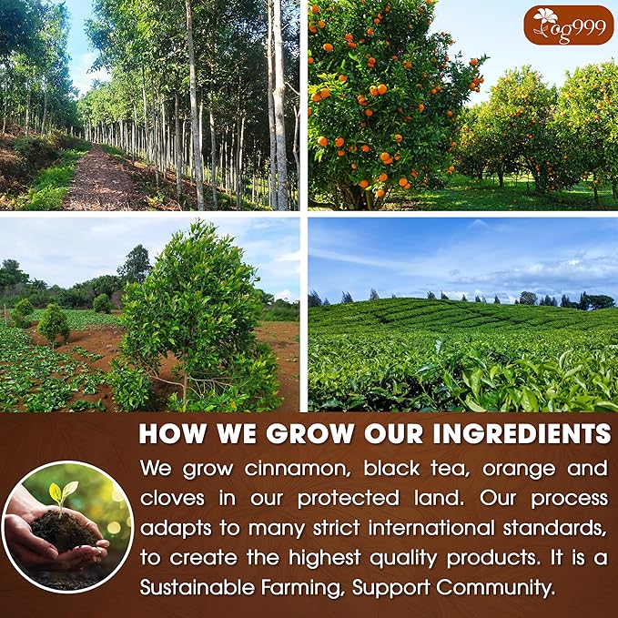 TOG999, 120 Tea Bags – Special Blend of Cinnamon, Black Tea, Orange Peel and Cloves, 100% Natural Ingredients, Hand-made Blend Herbal Tea. Eco-conscious Tea Bags. No Sugar, No Caffeine, No Gluten, Vegan.