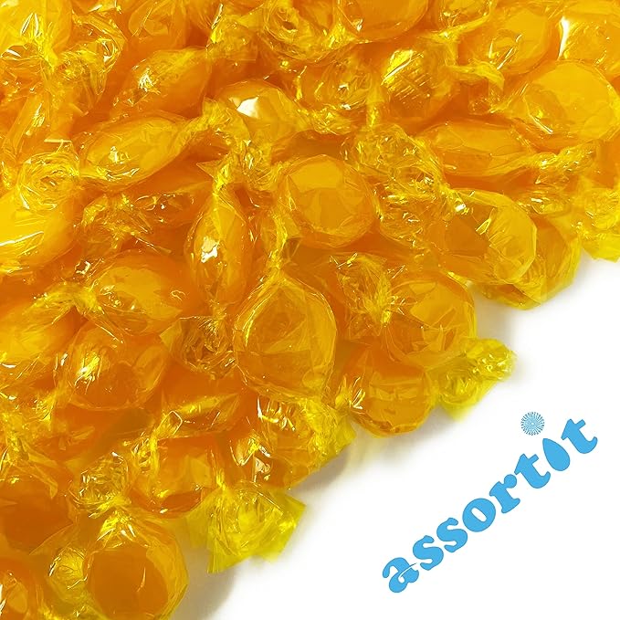 Butterscotch Hard Candy Disks - 1 lbs - Butter Scotch Flavored Old School Classic Hard Candies - American Vintage Candy Snack Assortment - Individually Wrapped, 16 oz.