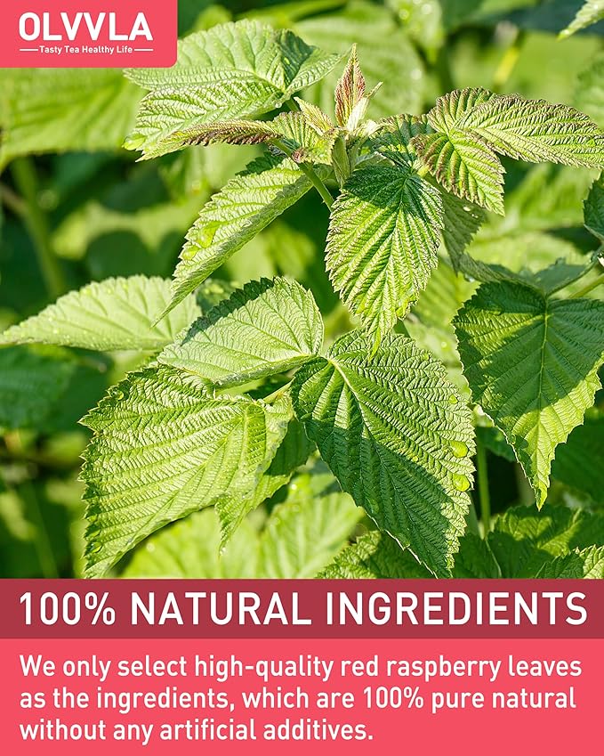 Olvvla - Raspberry Leaf Tea Bags - 1.5g X 50 Count - 100% Pure Red Raspberry Leaf Herbal Tea - Natural Pregnancy Tea - Non-GMO - Caffeine-free - Ease Menstrual Cramp & Support Healthy Pregnancy