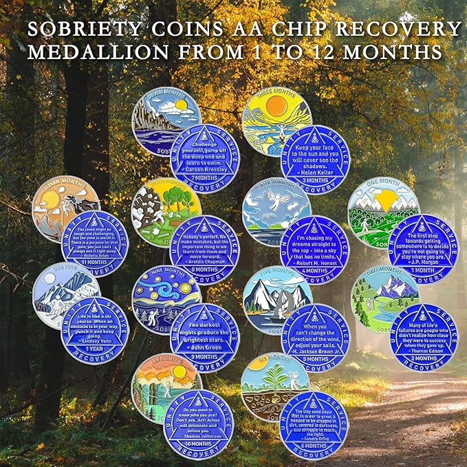 1 Month Sobriety Coin 30 Days Sobriety Chips AA Chip AA Coins 1 Month Sober chip Token Recovery Medallion Plastic case Included-Baking Paint Process