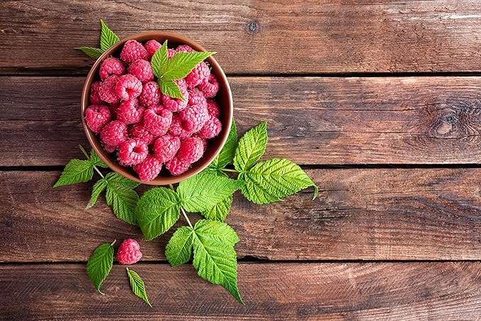 FGO Organic Red Raspberry Loose Leaf Herbal Tea, Cut and Sifted, Caffeine Free, Resealable Bag, 4oz (Pack of 1)