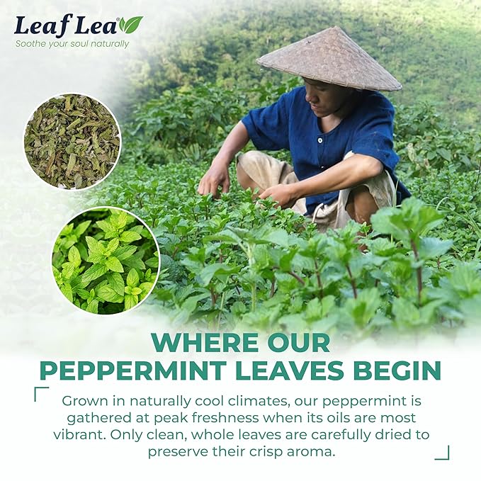 LeafLea 40 Peppermint Tea Bags, Natural Peppermint Leaf Herbal Tea with Cool Taste, Te De Menta for Gentle Digestive Support, Te De Hierba Buena, Caffeine-Free, Sugar-Free, Vegan, Individually Wrapped
