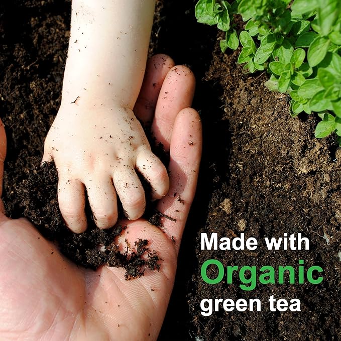 Pure Green Tea Extract for Skin and Hair – Cold-Processed Antioxidant, Polyphenol & EGCG Serum with USDA Organic Leaves – Natural - Alcohol-Free - 8 fl oz