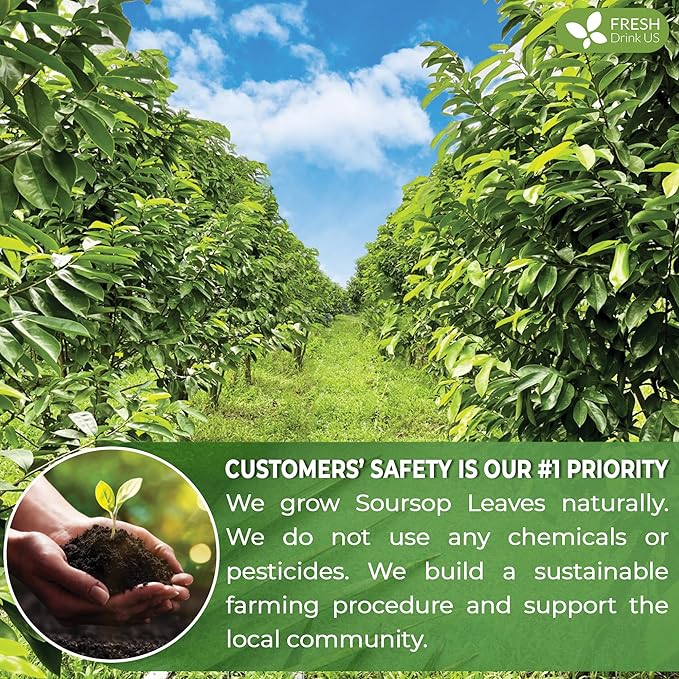 FreshDrinkUS, Premium 75 Soursop Graviola Leaf Tea Bags, 100% Natural and Pure from Soursop Leaves, Handmade, Made With Natural Materials-Corn Fiber Tea Bag, Sugar/ Caffeine/ Gluten Free, Hoja Guanabana Tea