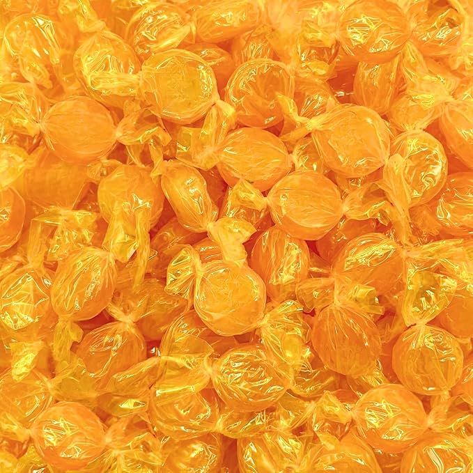 Butterscotch Hard Candy Disks - 1 lbs - Butter Scotch Flavored Old School Classic Hard Candies - American Vintage Candy Snack Assortment - Individually Wrapped, 16 oz.