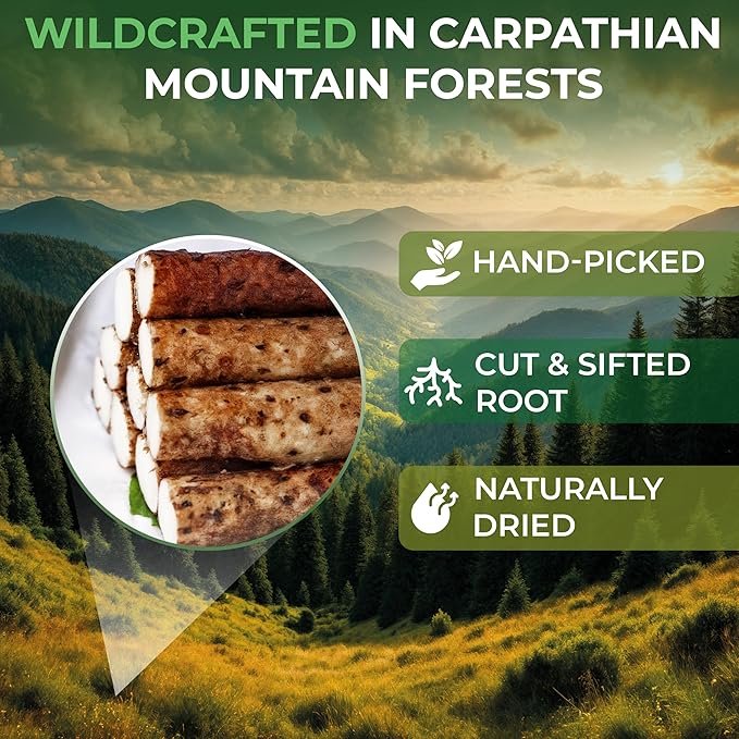 30 Bags Wild Yam Root Herbal Tea (Dioscorea) – 30 Tea Bags 1.5g Dioscorea Root Raíz de Name Silvestre