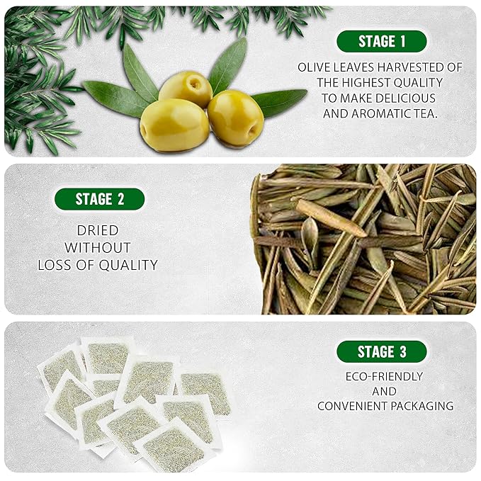 TeaDreamTea Olive Leaf Tea Bags - 400 Count, Natural Caffeine-Free | Herbal Tea for Blood Pressure | Antioxidant & Immune Support