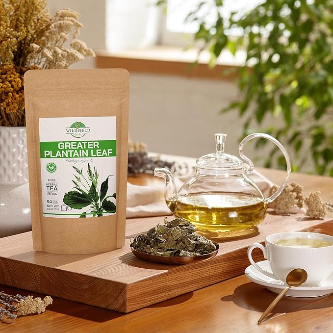 50 Bags Broadleaf Plantain Leaf Herb Tea (Plantago Majoris Folia) Plantain Leaves Tea - 50 Count 1.5 g Bags Llanten