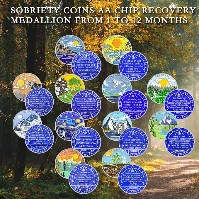 8 Month Sobriety Coin Sobriety Chips AA Chip AA Coins Sober Token Recovery Medallion NA Chips NA Coins from 1 to 12 Months Plastic case Included-Baking Paint Process