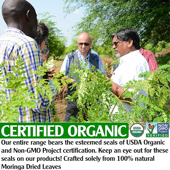 KEYXE - Organic Moringa Tea Bags, 100% CERTIFIED Organic and Pure from Moringa Leaves (30 teabags)