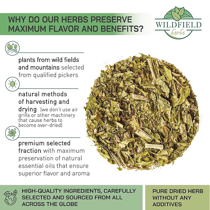 50 Bags Broadleaf Plantain Leaf Herb Tea (Plantago Majoris Folia) Plantain Leaves Tea - 50 Count 1.5 g Bags Llanten