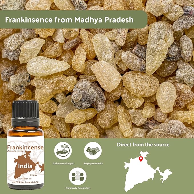 Frankincense Essential Oil - Direct from Madhya Pradesh, India - Pure Essential Oil for Diffusers and Aromatherapy | 100% Pure Therapeutic Grade Natural Aceite de Incienso (2lbs)