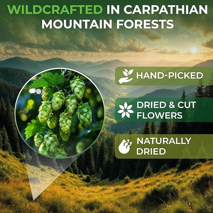 50 Bags Hop Tea Hops Herb Dried Hops Flowers Herbal Tea (Humulus Lupulus) - 50 Count 1.5g Bags Hoptea Lupulo Entero
