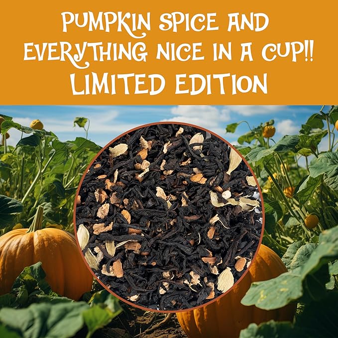 BREWIX, Pumpkin Spice Black Tea, Loose Leaf Tea (50+ Cups, 3.53oz/100g) | Fall | Halloween | Warm and Spicy