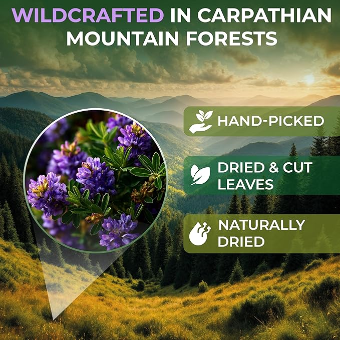 4 oz Alfalfa Leaf Alfalfa Herb Tea (Medicago Sativa) - 113g Tea Bags Herbal